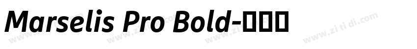Marselis Pro Bold字体转换